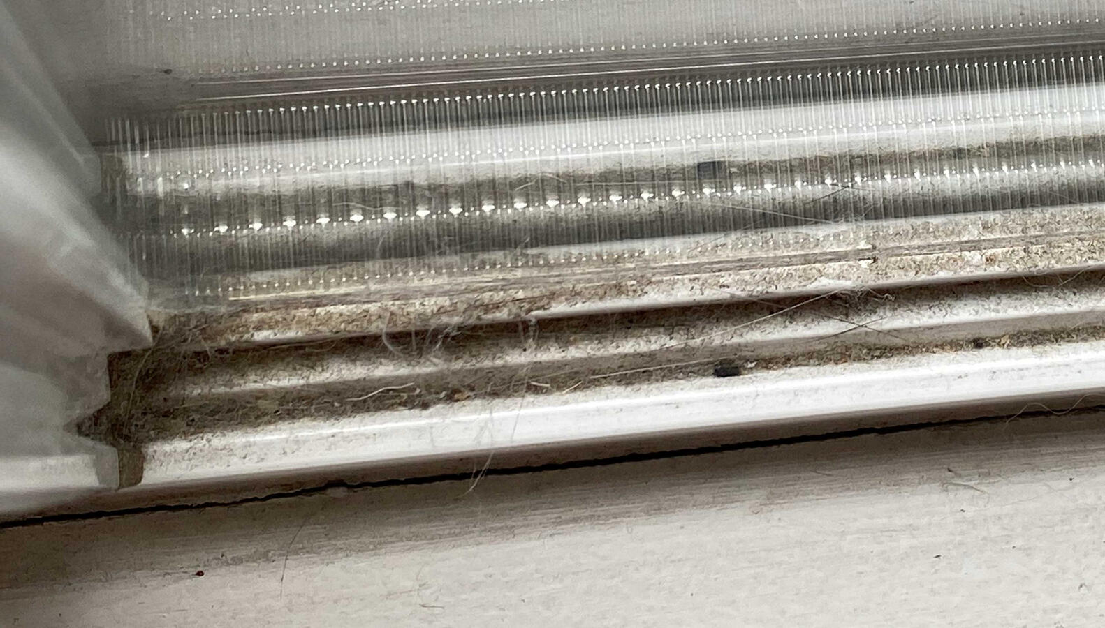 🧼 Deep Clean — BEFORE